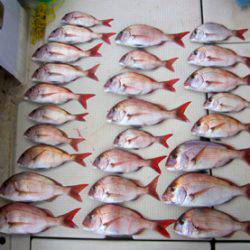 来温丸(らいおんまる) 釣果