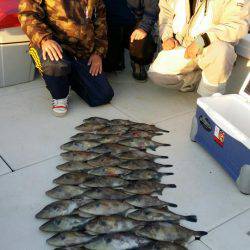 オーフリー 釣果