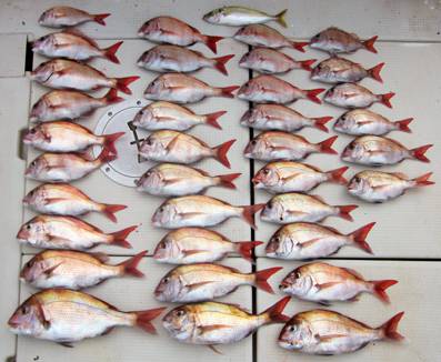 来温丸（らいおんまる） 釣果