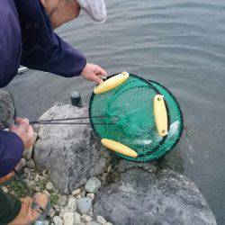 みどりフィッシングエリア 釣果