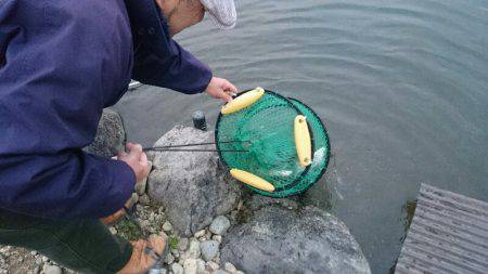 みどりフィッシングエリア 釣果