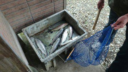 みどりフィッシングエリア 釣果