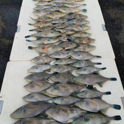 オーフリー 釣果