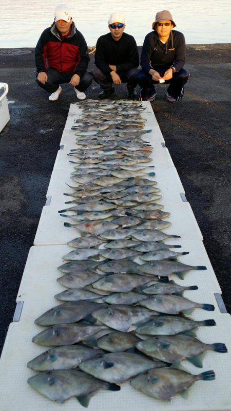 オーフリー 釣果