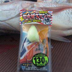 飛燕さくら丸 釣果