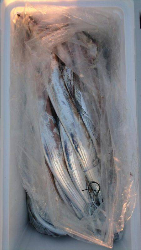 オーフリー 釣果