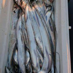 オーフリー 釣果