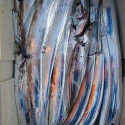 オーフリー 釣果