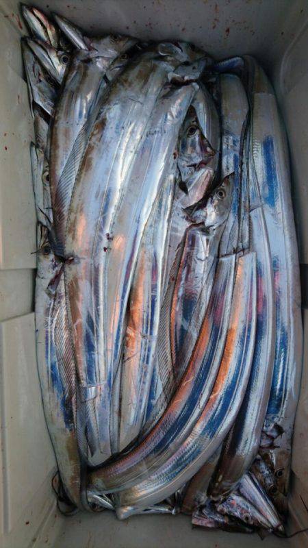 オーフリー 釣果