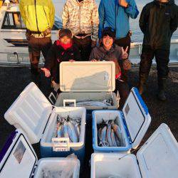 オーフリー 釣果