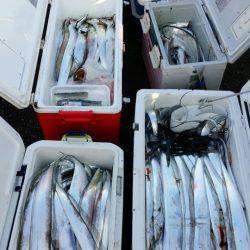 オーフリー 釣果