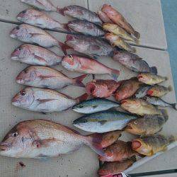 旭星釣りセンター 釣果