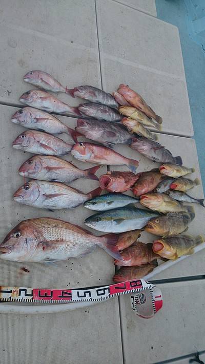 旭星釣りセンター 釣果