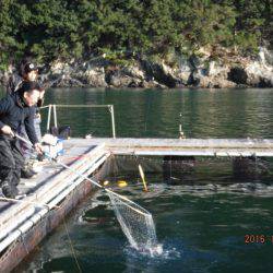 フィッシングパーク錦 釣果