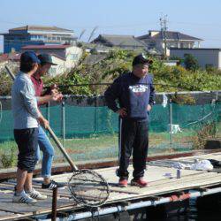 松名瀬フィッシングパーク 釣果