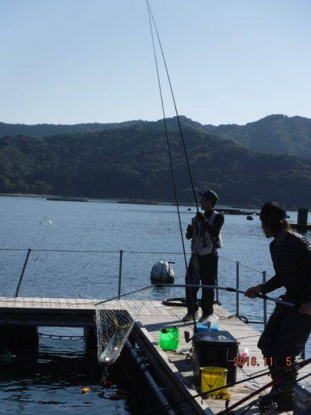 フィッシングパーク錦 釣果