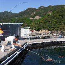 フィッシングパーク錦 釣果