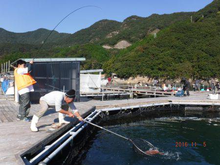 フィッシングパーク錦 釣果