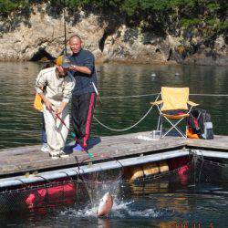 フィッシングパーク錦 釣果