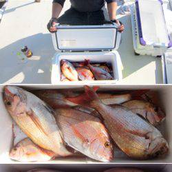 来温丸(らいおんまる) 釣果