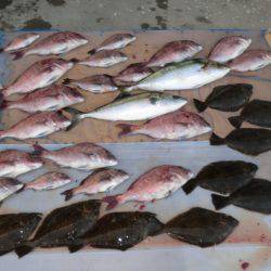 松名瀬フィッシングパーク 釣果