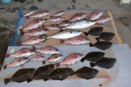 松名瀬フィッシングパーク 釣果