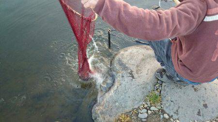 みどりフィッシングエリア 釣果