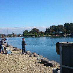 みどりフィッシングエリア 釣果