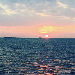 マタウマリンサービス 釣果