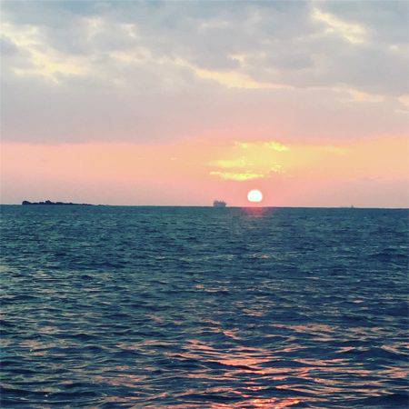 マタウマリンサービス 釣果