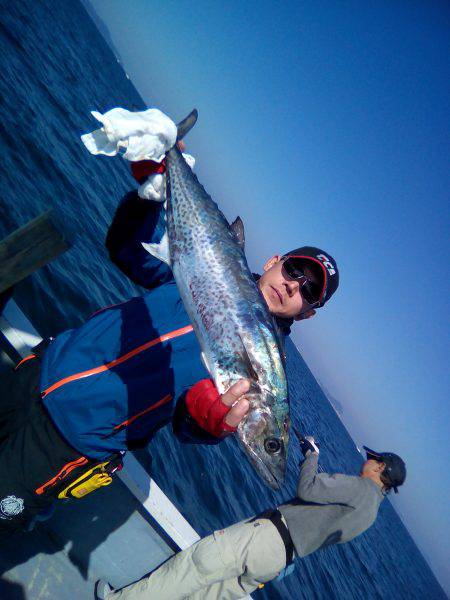 ファイヤードルフィン 釣果