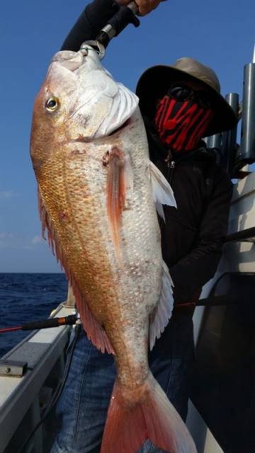 飛燕さくら丸 釣果