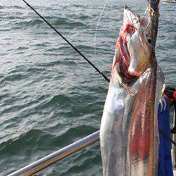 松本釣船２ 釣果