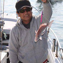 松本釣船２ 釣果