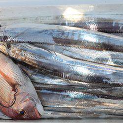 松本釣船２ 釣果