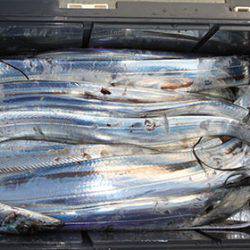 松本釣船２ 釣果