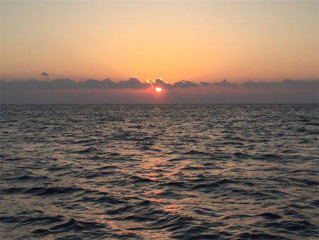 マタウマリンサービス 釣果