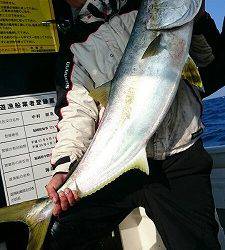 海龍丸(福岡) 釣果