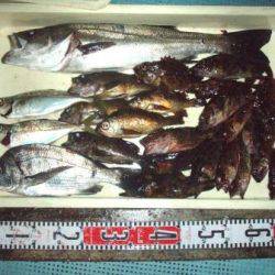朝日丸 釣果