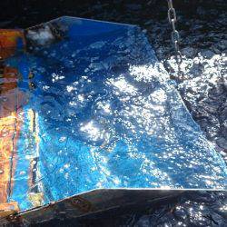 みどりフィッシングエリア 釣果