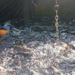 みどりフィッシングエリア 釣果