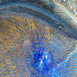 みどりフィッシングエリア 釣果