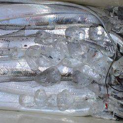 松本釣船２ 釣果