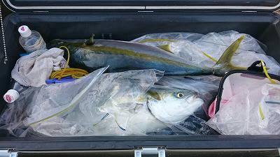 海龍丸(福岡) 釣果