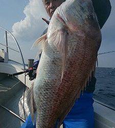 海龍丸(福岡) 釣果