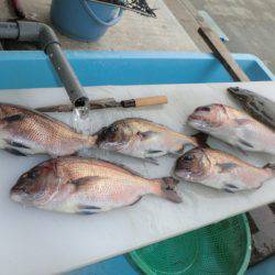 松名瀬フィッシングパーク 釣果