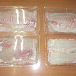 松名瀬フィッシングパーク 釣果