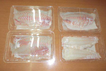 松名瀬フィッシングパーク 釣果