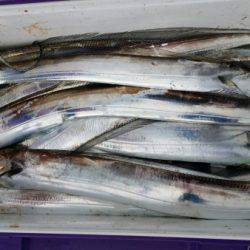 オーフリー 釣果