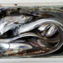 オーフリー 釣果